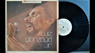 Série Performance - (G.o.n.z.a.g.u.i.n.h.a) - Luiz G.o.n.z.a.g.a - J.r - (1989) - Baú Musical