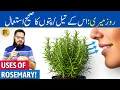 Download Lagu Rosemary Ke Patte/Oil Ke Fayde | Rosemary Leaves/Oil Benefits \u0026 Uses | Dr. Ibrahim
