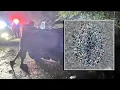 Troopers search for driver involved in deadly Dade City hit-and-run