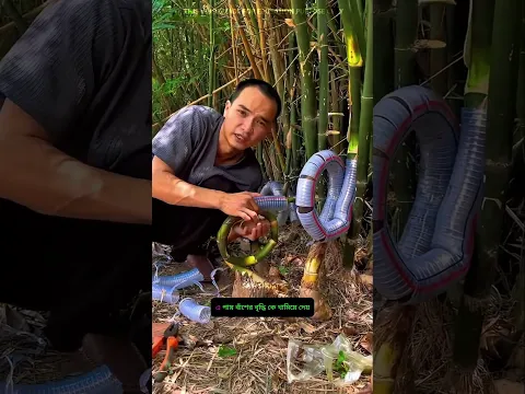 How to earn money from bamboo | The Saif Shorts