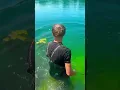 Download Lagu Wow this carp is so big!!!#karpervissen #carpfishing #fishingvideo #fishinglife #carp #angler