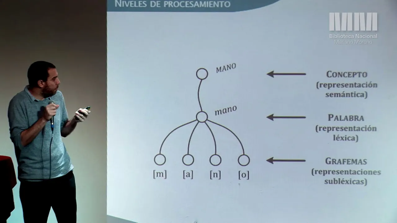 El cerebro ante la palabra escrita: descubrimientos e implicancias de la neurociencia de la lectura