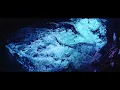 BLACKPINK - ‘Pink Venom’ M/V TEASER