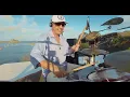 Planta e Raiz Ao Vivo em Noronha - Show Completo
