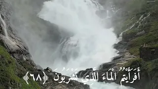 أ ف ر أ ي ت م  ال م اء  ال  ذ ي ت ش ر ب ون   ٦٨     القارئ   إسلام صبحي دندنها