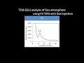 Materials TEM-EELS analysis of Gas atmosphere using FE-TEM with Gas Injection