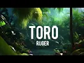 Ruger - Toro (lyrics)