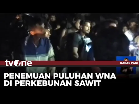 Puluhan WNA Ditemukan di Kebun Sawit, 26 Asal Bangladesh, 42 Etnis Rohingya