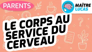 Maître Lucas | À la maison - Le podcast pour les parents - Le corps au service du cerveau