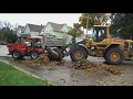 2019 Leaf Pick Up