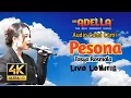 Download Lagu PESONA _TASYA ROSMALA-OM ADELLA LIVE LEMIRING WONOSOBO 2023
