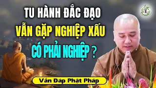 Tu hành nhiều năm nhưng gặp Quả Báo Xấu có phải do Nghiệp? - Vấn Đáp Thầy Thích Pháp Hòa