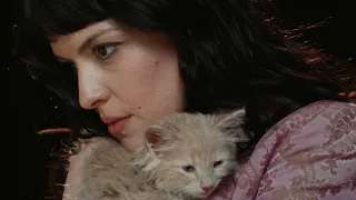 Not For Radio - Kitten