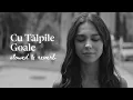 Download Lagu MIRA - Cu Tălpile Goale (slowed + reverb)