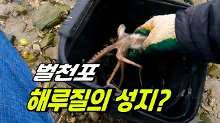 뷰가 좋은 벌천포! 차박 캠핑가면 꼭 해루질 해보세요 썸네일