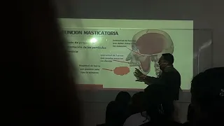 Anatomía Dentaria