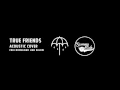 Download Lagu Bring Me The Horizon - True Friends (ACOUSTIC COVER)