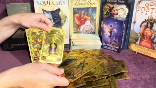 TAURO♉️ALGUIEN DESEA UNA RELACIÓN ESTABLE ❤️‍🔥UN VÍNCULO CRECE‼️EXITO  💰#tarot #tauro #tarotreading 