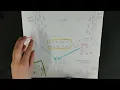 4 Randomization Distribution Caution error on visual