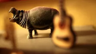 موسيقى المال والبنون تصوير ومونتاج واخراج د  حسني مجاهد دندنها