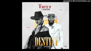 tipsy ft harrysong destiny