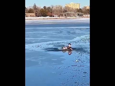 Ele Arriscou A Própria Vida Para Salvar Um Cachorro 🥹🐶#shorts