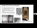 Speleothem petrography and incorporation of selected trace elements - Prof Dr Silvia Frisia