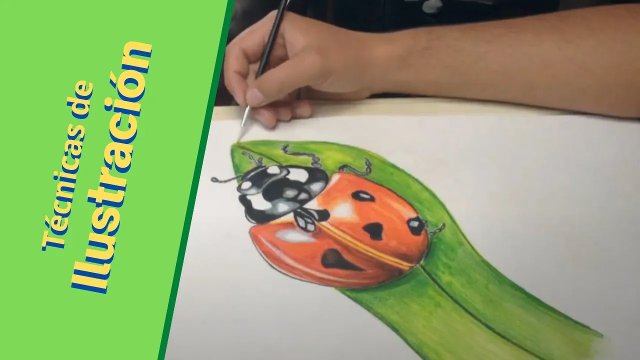 Pinturas acuarelables/ Ilustración de Mariquita/ Speed paintting 5/ Lo puedes hacer mejor???