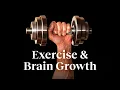 The way to strengthen your mind is to use your body Wendy Suzuki