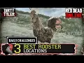 BEST ROOSTER Locations RDR2 Daily Challenges Red Dead Online