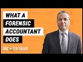 What a Forensic Accountant does A complete guide to forensic accounting