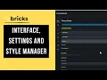 Bricks Builder Course for Beginners - Interface Settings and Style Manager