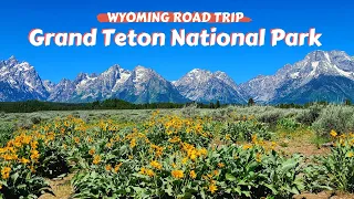 Wyoming Road Trip Grand Teton National Park