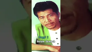 meggi z belum sembuh