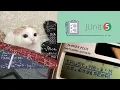 Java Calculator with Unit Testing Demo