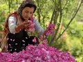 Iranian Gilaki Song- Aha Bogoo