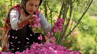 Iranian Gilaki Song Aha Bogoo 