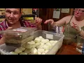 Burmese python pregnant WOW and how we deal with the eggs