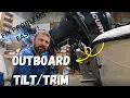 Outboard EASY Tilt and Trim CHECK and FILL STEP by STEP