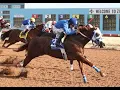 Drizzy Dispatch Breaks Down 86k Jimmy Drake Stakes at SunRay Park