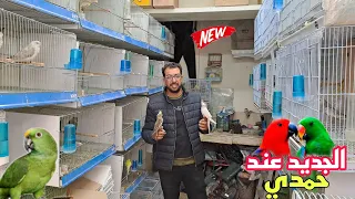 زيارة عند حمدي دائما الجديد أجيو نتولعو فرجة ممتعة تحياتي لعشاق قناة عالم الطيور 