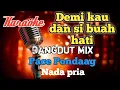 Download Lagu Demi kau dan si buah hati - Dangdut mix karaoke nada pria