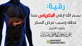 رقية بسم الله أرقي البنكرياس مما عطله وسبب مرض السكر الشيخ عمر العاطفي 