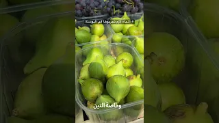 ٥ اشياء لازم تجربوها في البوسنة Travel البوسنة 