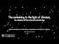 Lagu The swimming to the light of Gonium, the simplest differentiated colonial alga