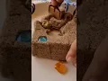 Download Lagu Kinetic Sand!! The one \u0026 Only! Buried Treasure rare gold Coin. #shorts #toys #fun #kids #kineticsand