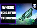Stardew Valley - How to Catch Sturgeon Best Spots Simple Tips