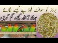 Download Lagu love birds soft food |love bird ka darr kaise khatam kare | mukhtar birds