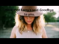 Hats Off to Larry  DEL SHANNON  (with lyrics)