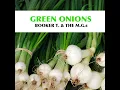 Mo' Onions